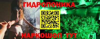 мяу мяу мука Аргун