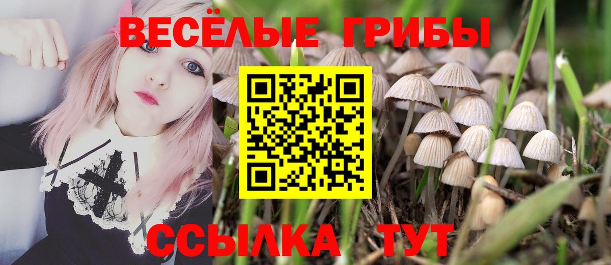 Галлюциногенные грибы прущие грибы  Вход с VPN  дарнет шоп  Батайск 