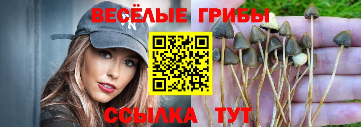 Псилоцибиновые грибы ЛСД Батайск